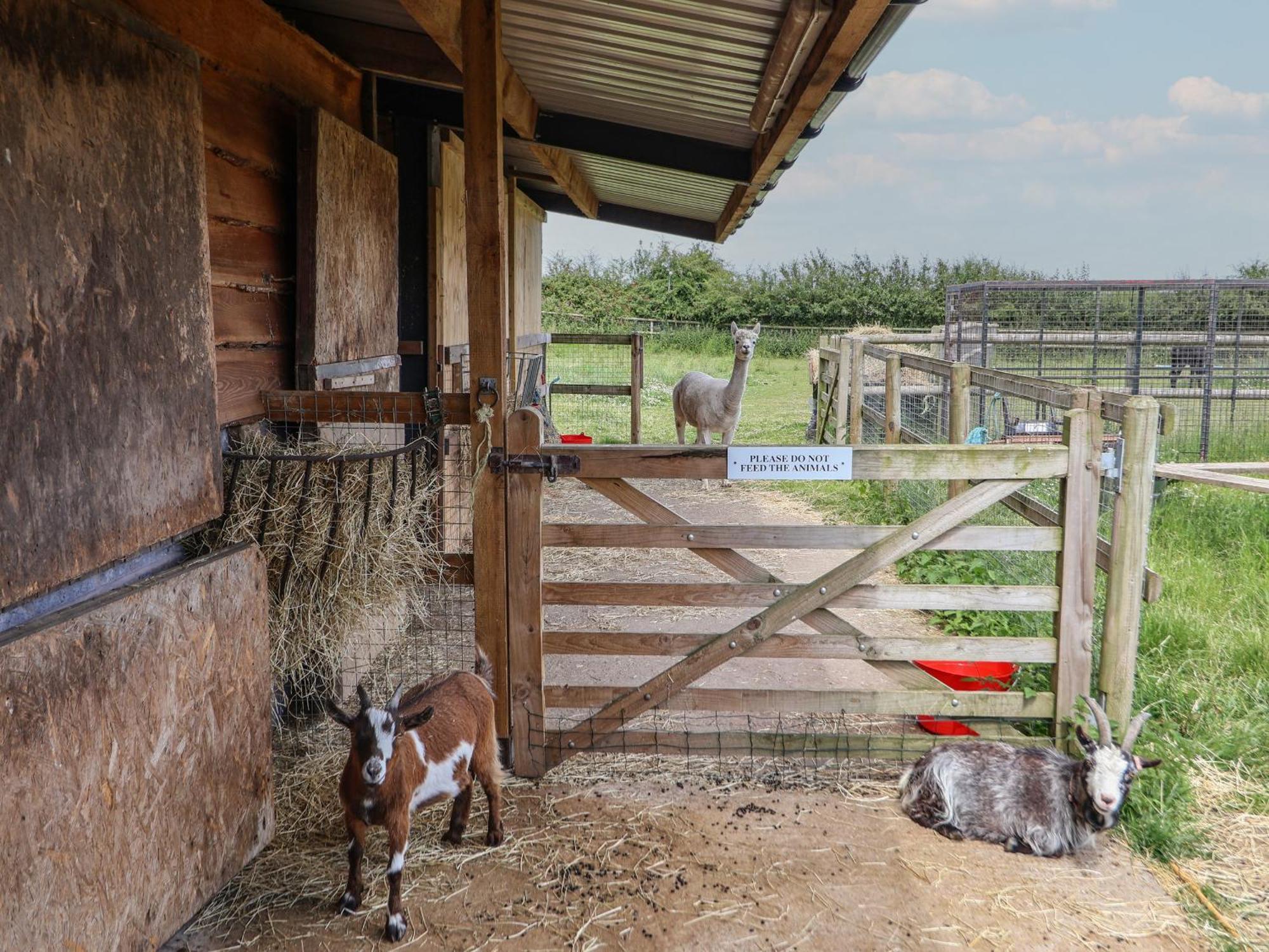 Вілла The Hay Barn Честер Екстер'єр фото